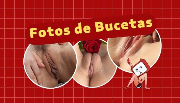 Fotos de Bucetas: Top 50 Fotos e Vídeos de Bucetas